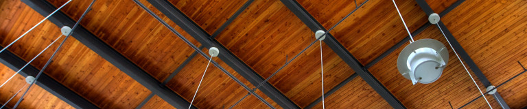 A wooden ceiling with steel beams - Aquicon design-build services.