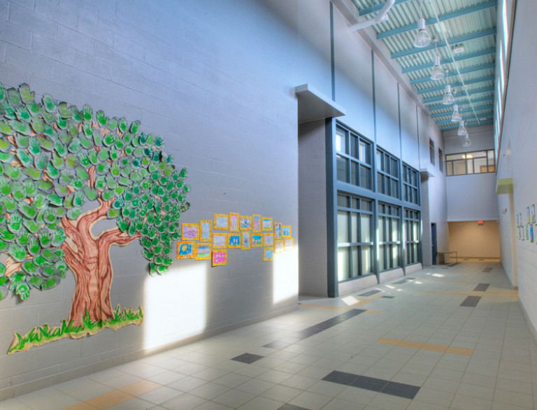 One of the corridors of the Ardagh Bluffs Public School showing a crafted tree.